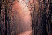 开云体育中国-EDG逆转TSM，Clozer一己之力扛起全队