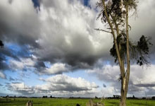 开云体育官网-RGE绝杀FLY，Bwipo高光表现